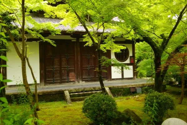 Top 10 ngôi chùa đẹp nhất Kyoto – Điểm đến mê hoặc mỗi độ xuân về