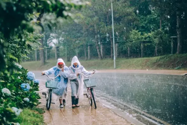 Đà Lạt mùa mưa (tháng 6 - tháng 10): 10 hoạt động "trong nhà" khiến chuyến đi không bị lãng phí