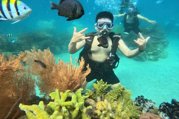Dịch vụ chụp ảnh/quay phim dưới nước bằng máy chuyên dụng trong Tour lặn biển Nha Trang