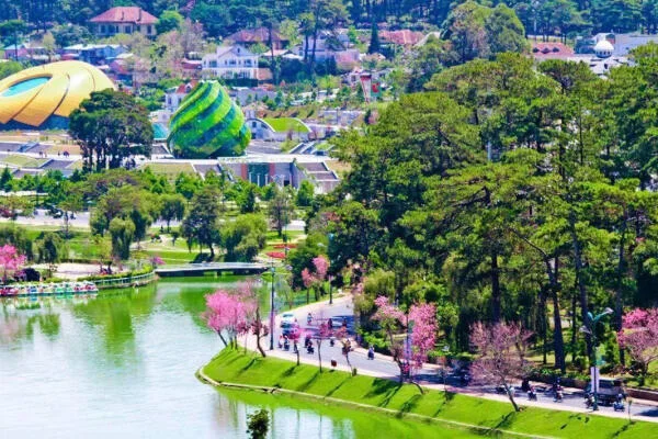 Thời điểm du lịch Đà Lạt: Đặc điểm 4 mùa, các mùa hoa & kinh nghiệm lựa chọn
