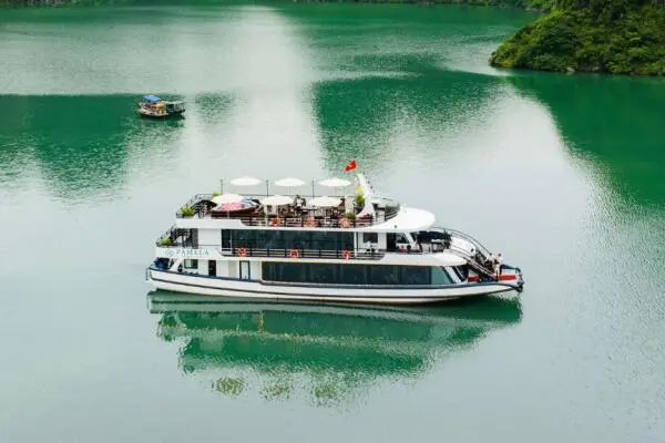 Du thuyền Pamela Cruise Hạ Long: Lịch trình tour trong ngày, ăn tối trên Vịnh & kinh nghiệm đặt vé