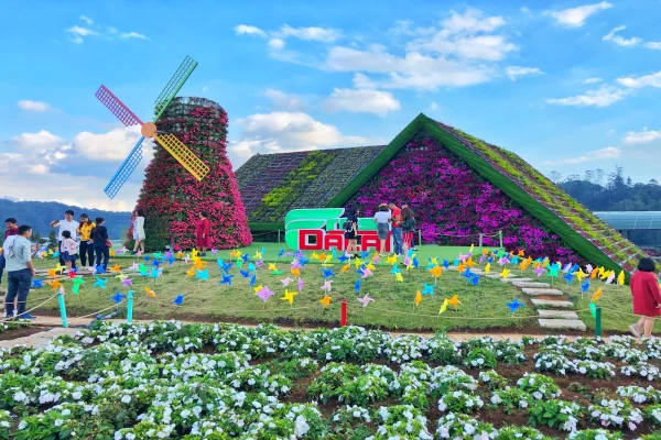 Chợ hoa Đà Lạt: Bí mật của thành phố ngàn hoa – sắc hương, giá rẻ và hơn thế nữa