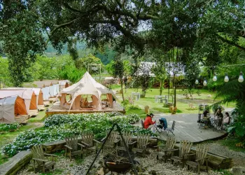 Review chi tiết 5 khu cắm trại ở Đà Lạt có nhà vệ sinh riêng và dịch vụ chuẩn 4 sao