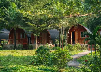 Farmstay Đà Lạt: Điểm nổi bật, Hoạt động, Gợi ý farmstay đẹp & Kinh nghiệm đặt phòng