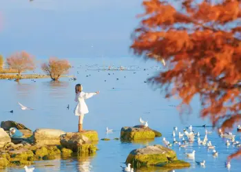Hồ Nhĩ Hải: Viên ngọc bích giữa lòng Đại Lý - Tứ đại mỹ quan nức tiếng