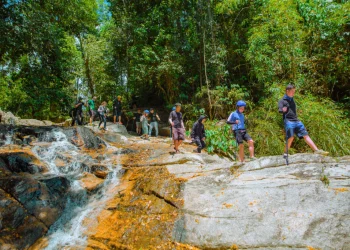 Khám phá điểm mới độc đáo trong tour Nha Trang 4N3Đ: Trekking rừng hòn Hèo kết hợp chèo sup ngắm san hô , lịch trình đổi gió cho dân mê xê dịch.