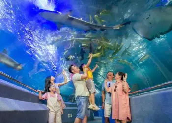 Ưu đãi đặt sớm (Early Bird) và chính sách hoàn hủy Tour Nha Trang 4N3Đ khi thời tiết xấu