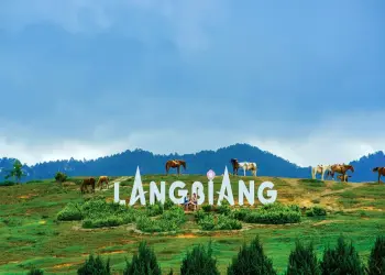 Bảo hiểm du lịch: Mức bồi thường và quyền lợi của du khách trong tour Đà Lạt 5N4Đ