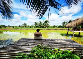 So sánh các cung đường Tour Miền Tây 2N1Đ phổ biến nhất hiện nay