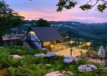 Homestay Đà Lạt view đẹp giá rẻ: danh sách, đặc điểm, mức giá và kinh nghiệm đặt phòng