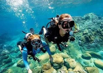 Lặn ngắm san hô Nha Trang: Trải nghiệm không thể thiếu trong tour 3N2Đ