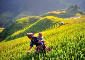 Thời điểm du lịch Sapa: Đặc điểm 4 mùa, các mùa hoa & kinh nghiệm lựa chọn