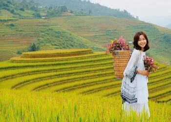 Mùa lúa chín Sapa: Thời gian, địa điểm & kinh nghiệm săn ảnh cực đẹp