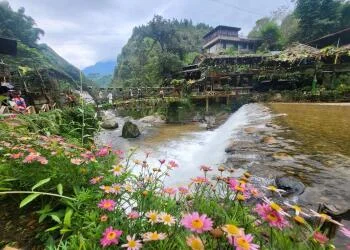 Bản Cát Cát Sapa: Ngôi làng cổ đẹp như tranh giữa núi rừng Tây Bắc