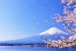 Tour Nhật Bản 6N5Đ khởi hành 25/2: Hà Nội - Osaka - Kyoto - Tokyo