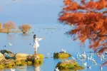 Hồ Nhĩ Hải: Viên ngọc bích giữa lòng Đại Lý - Tứ đại mỹ quan nức tiếng