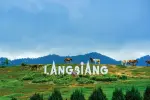 Bảo hiểm du lịch: Mức bồi thường và quyền lợi của du khách trong tour Đà Lạt 5N4Đ
