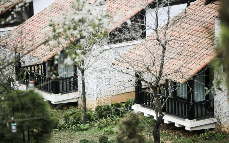 Sapa Jade Hill Resort: Vị trí, đặc điểm, tiện ích, giá bán các hạng phòng & kinh nghiệm đặt phòng