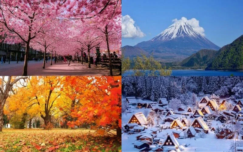 Tour Japan
