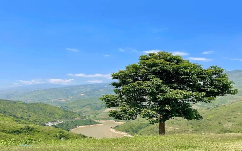 Thảo Nguyên Tà Xùa - Thiên đường săn mây và cảnh đẹp mê hồn