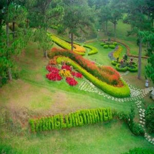 thung-lung-tinh-yeu-da-lat-6