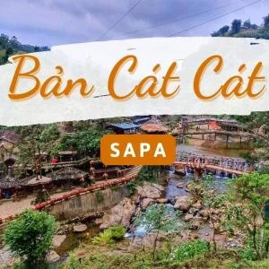 ban-cat-cat