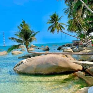 cay-dua-nghieng-bai-bang-diem-check-in-noi-tieng-hon-son-1669220916-1