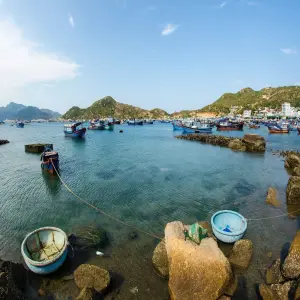 dao-binh-hung-9