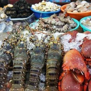 mach-ban-nhung-mon-an-ngon-khong-tuong-o-ha-long2