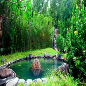serena-kim-boi-resort-9