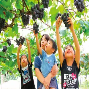 tour-cung-duong-vang-6n5d-thang-6-4