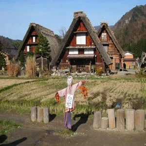 lang-co-shirakawago-4