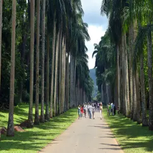 du-lich-sri-lanka-co-an-toan-khong-2