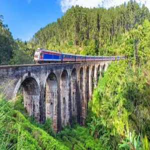trai-nghiem-tuyen-tau-hoa-kandy-ella-dep-nhat-the-gioi-5