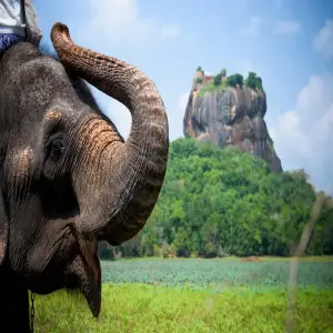nen-di-tour-sri-lanka-hay-tu-tuc-1