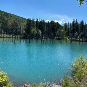 kinh-nghiem-tham-quan-ho-shirogane-blue-pond-ho-biei-3