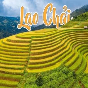 ban-lao-chai-ta-van