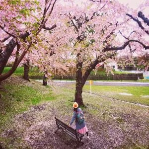 du-lich-hokkaido-mua-xuan