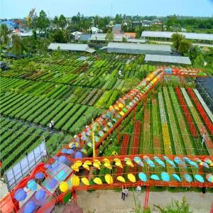 lang-hoa-sa-dec-dong-thap-04