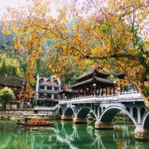 phuong-hoang-co-tran-4