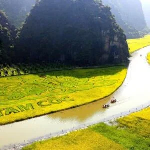 tam-coc-bich-dong-1-1