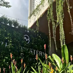 the-mystery-con-dao-32