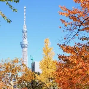 tokyo-skytree-mua-thu-1