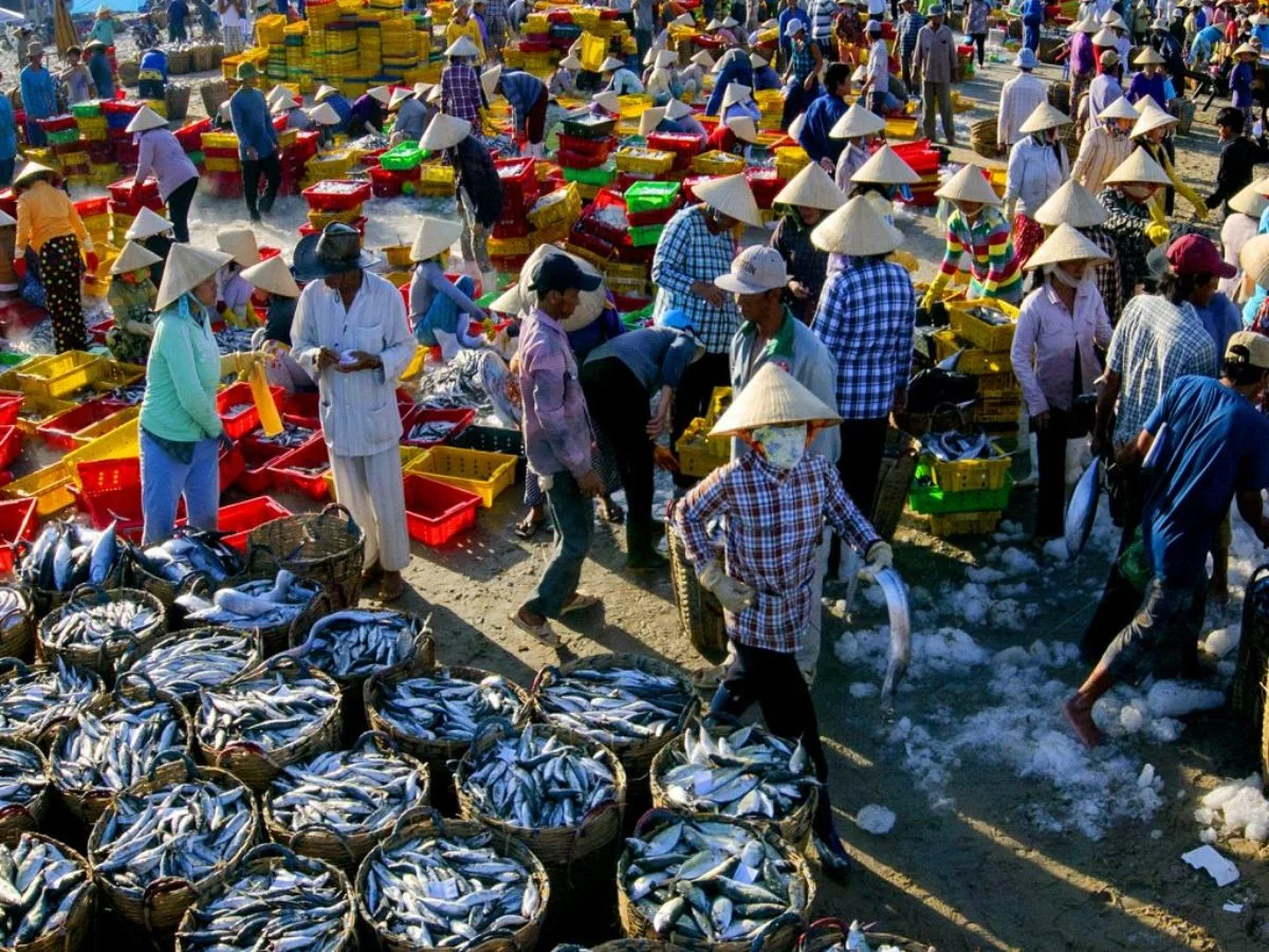 Tour Côn Đảo: Hành trình về miền đất linh thiêng & bình yên