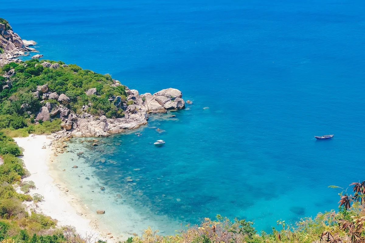 Top 5 hoạt động thú vị khi tham gia tour Bình Hưng