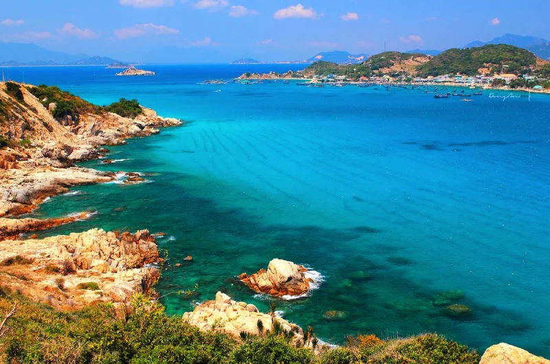 Top 5 hoạt động thú vị khi tham gia tour Bình Hưng