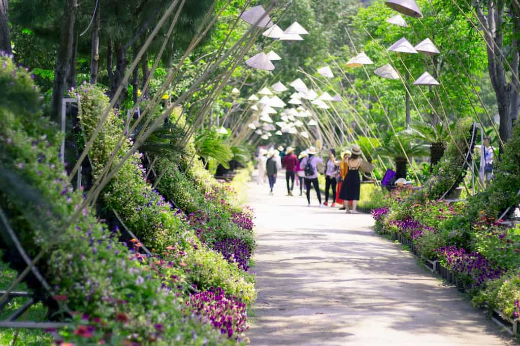 Tour Đảo Khỉ Đảo Hoa Lan: Lịch trình, điểm nổi bật, giá bán, kinh nghiệm du lịch & đơn vị uy tín