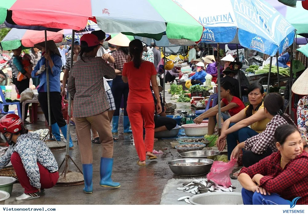 Tour đảo Cô Tô 3 ngày 2 đêm từ Hà Nội: Lịch trình, điểm nổi bật, giá bán, kinh nghiệm du lịch & đơn vị uy tín giá rẻ