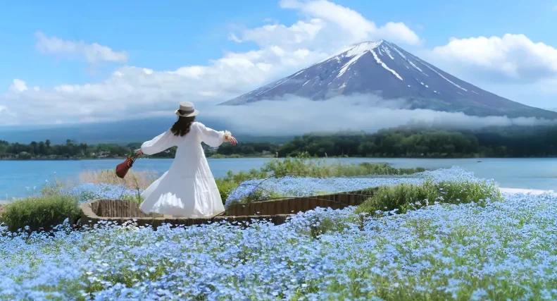 Hồ Kawaguchiko: Vị Trí, Sức Hút, Thời Điểm Lý Tưởng & Kinh Nghiệm Cần Biết