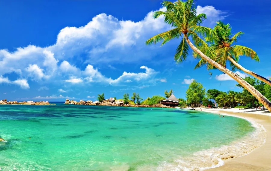 Tour Đà Nẵng – Ngũ Hành Sơn - Hội An - Bà Nà – Cù Lao Chàm/Rừng Dừa 4 ngày 3 đêm: Lịch trình, điểm nổi bật, giá bán, kinh nghiệm du lịch & đơn vị uy tín giá rẻ